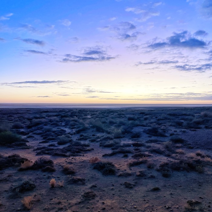 Pieroad - Outback Desert